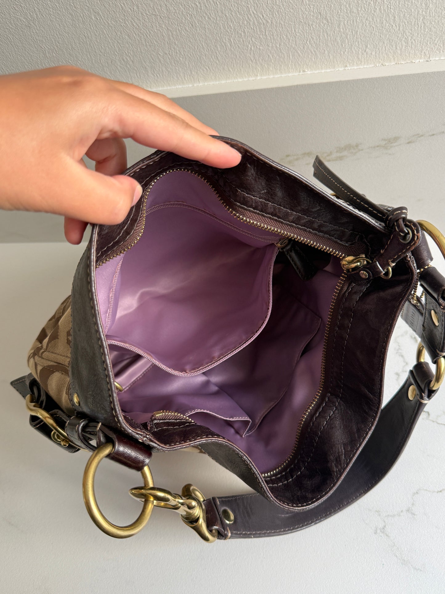 Rare Coach Zoe Signature Hobo Shoulder Bag