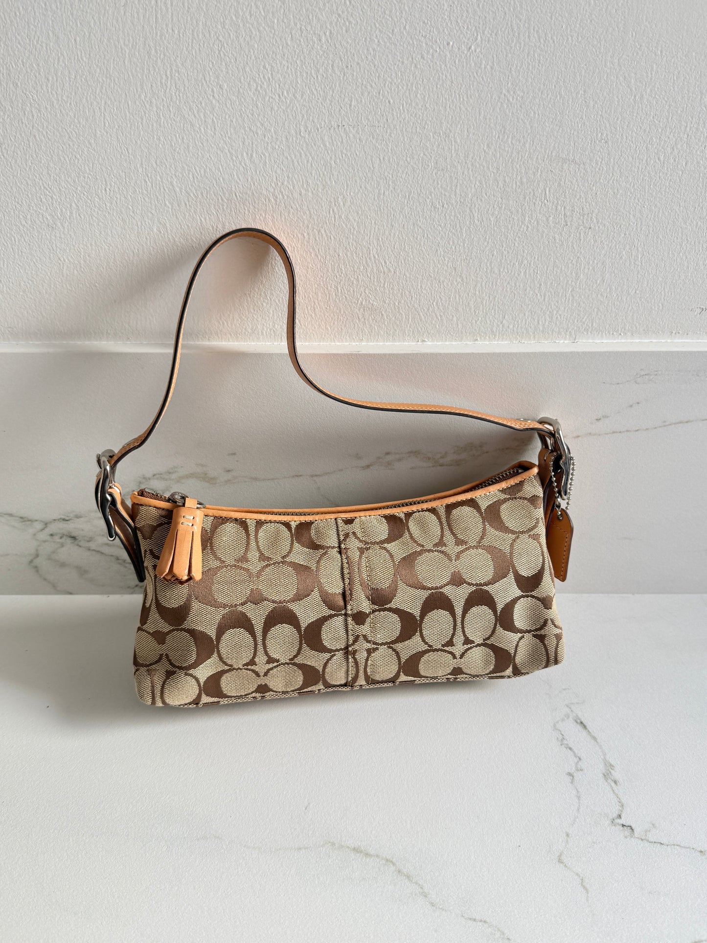 Coach East West Demi Baguette Bag