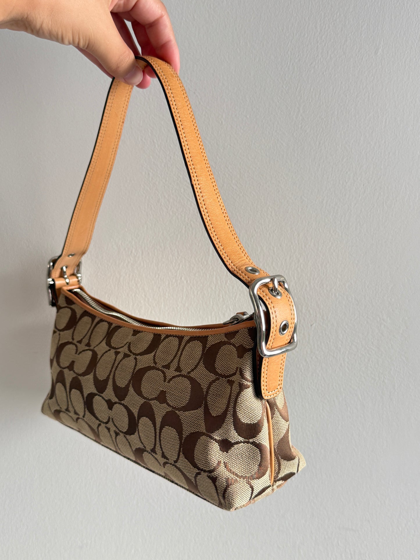 Coach East West Demi Baguette Bag