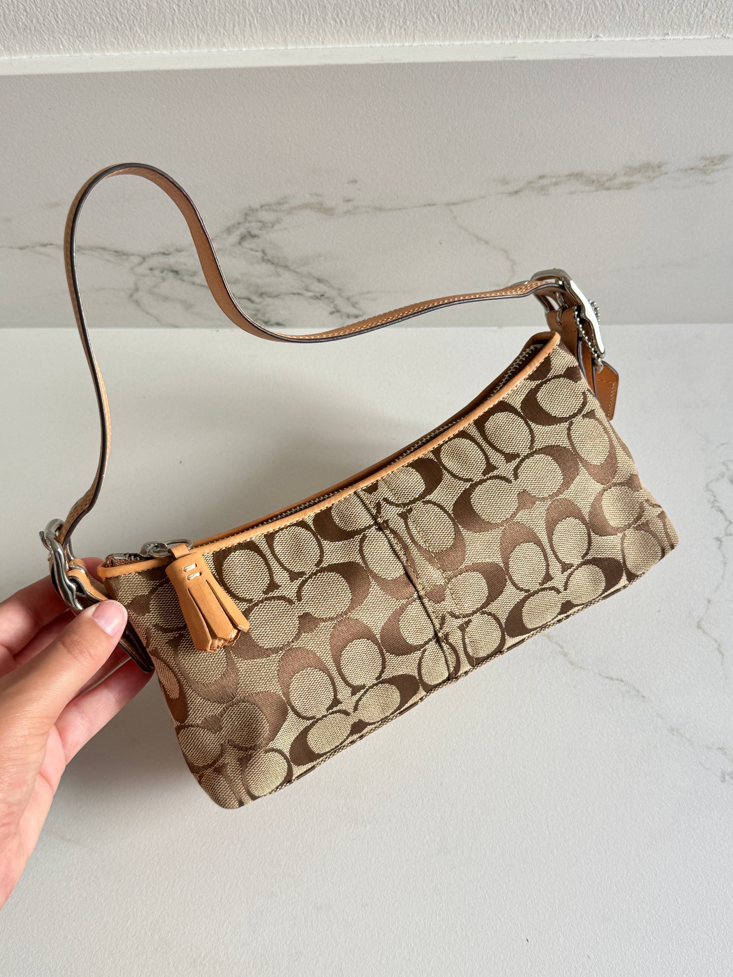 Coach East West Demi Baguette Bag