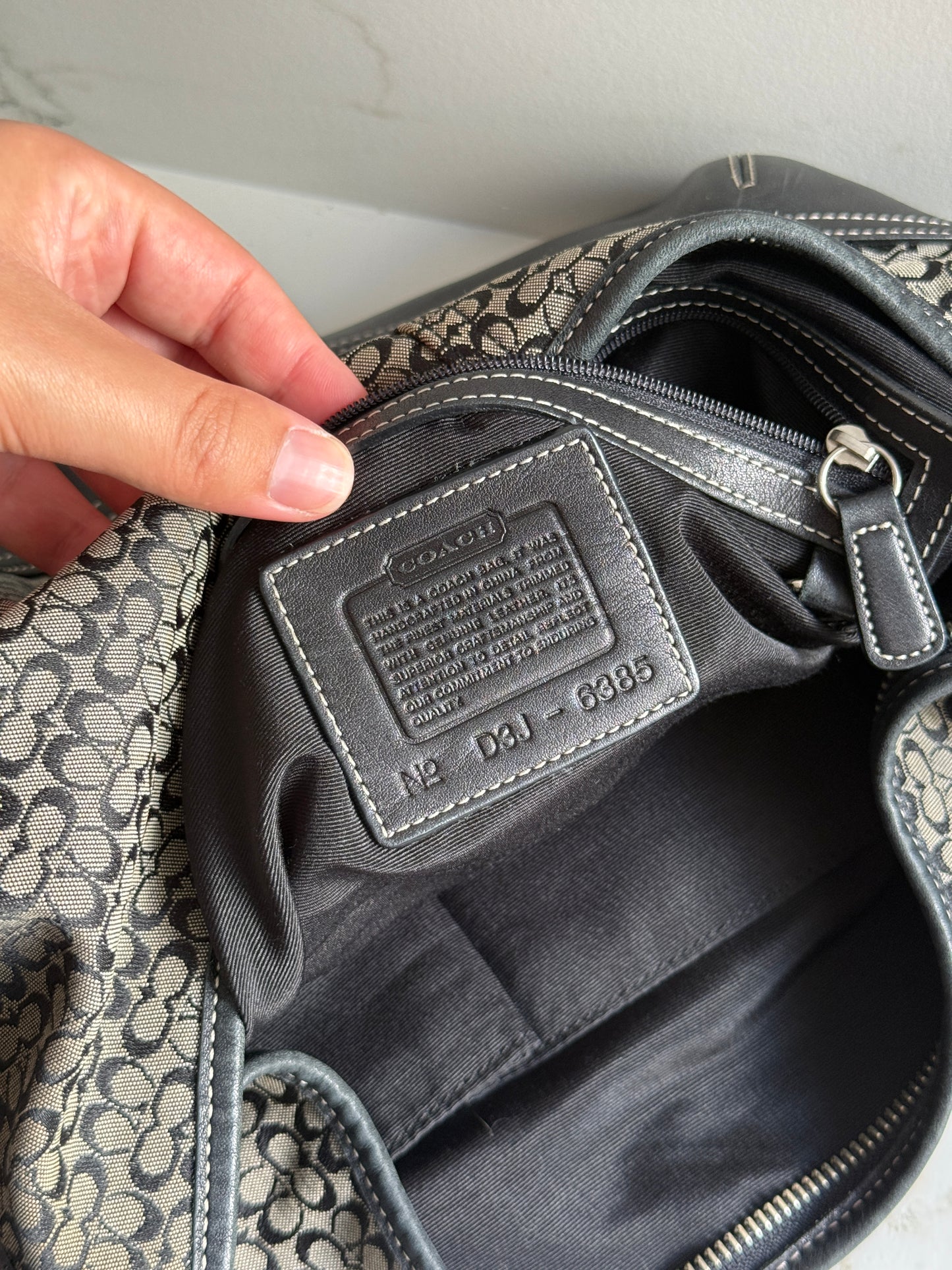 Coach Soho Signature Hobo Shoulder Bag, Large