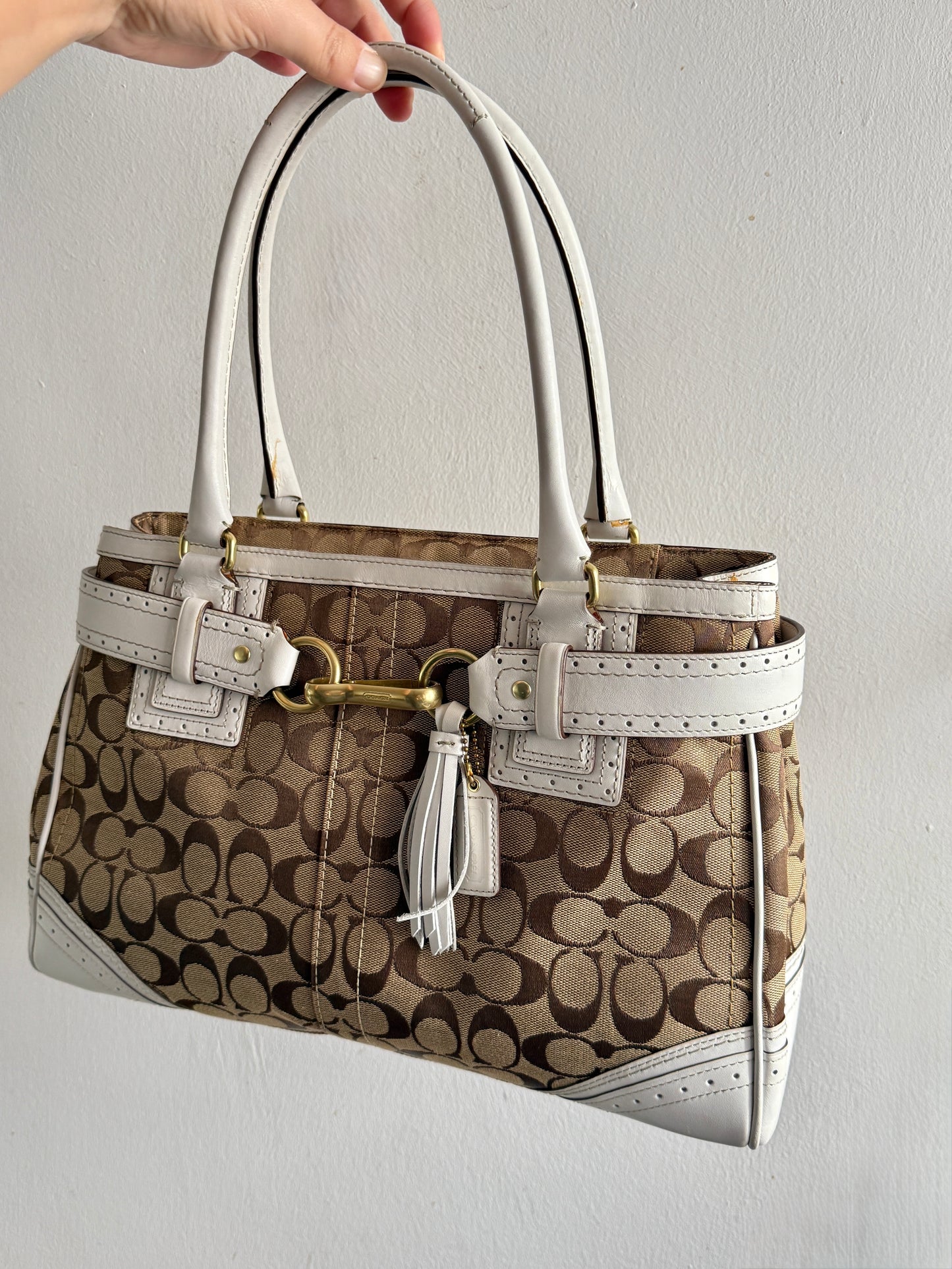 Rare Coach Hampton Signature Shoulder Bag